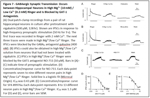 Figure 7 - GABAergic Synaptic Transmission Occurs between Hippocampal Neurons in High Mg2+ (10 mM) / Low Ca2+ (0.2 mM) Ringer and is Blocked by GAT-1 Antagonists. The IPSCs were blocked by the GABAA antagonist gabazine (400 nM). (6) IPSCs could also be obtained in high Mg2+/low Ca2+ solution from neurons that had not been treated with vigabatrin. (C) IPSCs in high Mg2+/low Ca2+ Ringer were blocked by the GAT1 antagonist NO-711 (10 µM).